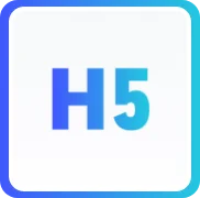 h5